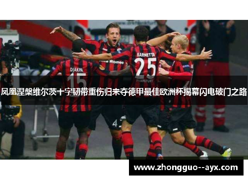 凤凰涅槃维尔茨十字韧带重伤归来夺德甲最佳欧洲杯揭幕闪电破门之路